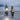 Tern