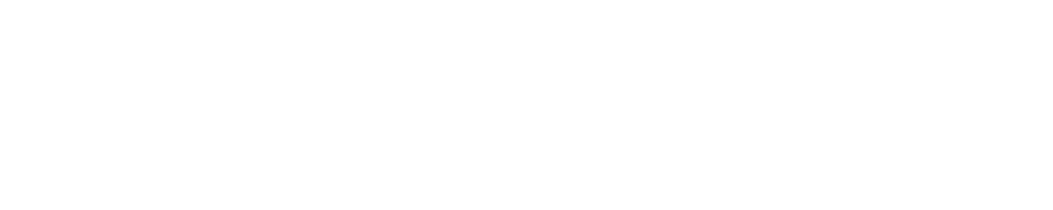 Renovatio Bikes